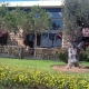 Great place to eat or have a drink in Dbaiyeh