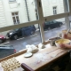 Traditional Polish Cuisine