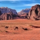 Wadi Rum 