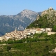 Town information