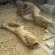 Pompeii: the city of ashes