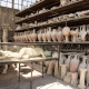 Pompeii: the city of ashes
