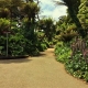 Golden Gate Park