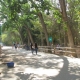 Wonderful natural tourist spots 