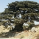 Amazing nature reserve 