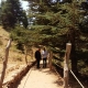 Amazing nature reserve 