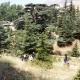 Amazing nature reserve 
