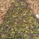 Great Lebanese Sweets...24/7 !