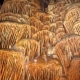 One of the most beautiful Natural wonders of the World