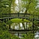 A place to relax in Amsterdam