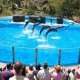 The best Zoo and Botanical Garden in the Canary Islands