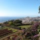 Beautiful Botanical Garden 