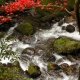 What it is good to know when we visit a natural park?