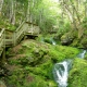 What it is good to know when we visit a natural park?
