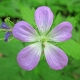 What it is good to know when we visit a natural park?