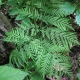 What it is good to know when we visit a natural park?