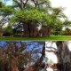 A few reasons to visit South Africa