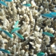 Great Barrier Reef - Australia's Great Natural Wonder