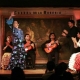 Great Flamenco show in Madrid