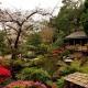 Japanese Tea Garden: a piece of Japan in California