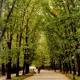 Visit one of Bucharest's nicest parks
